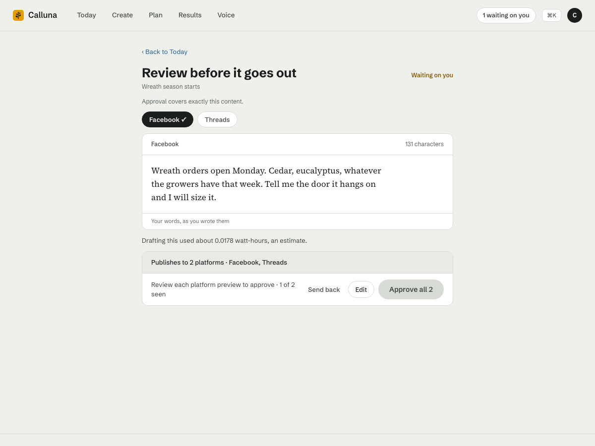 The approval screen: per-platform previews and one approve button